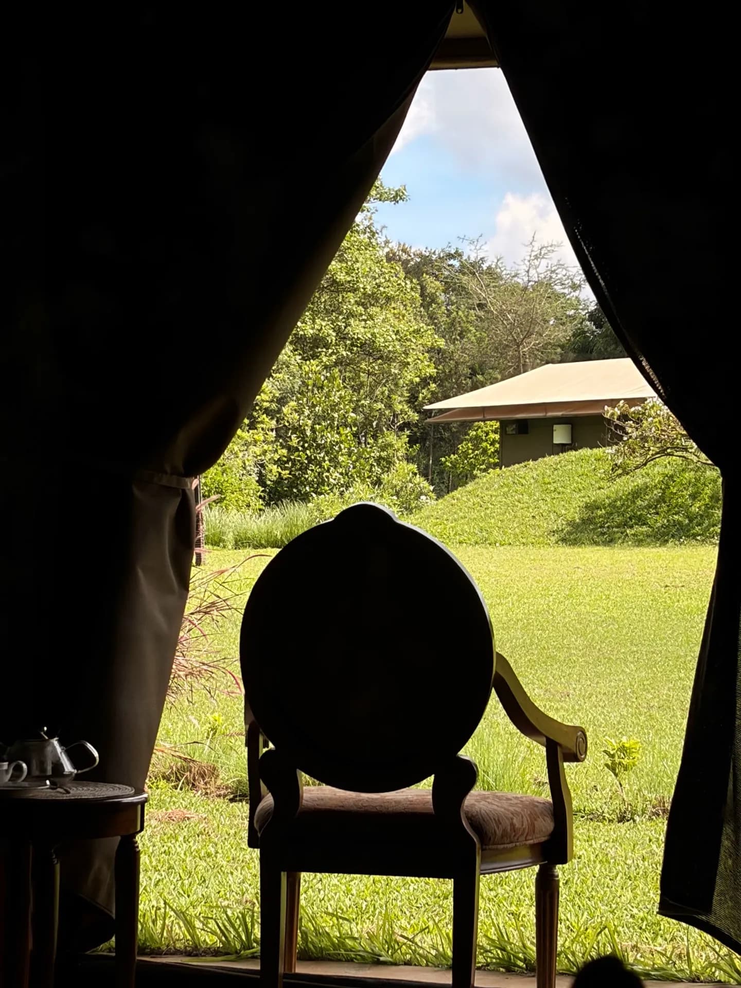 Safari lodge retreat, stillness in nature